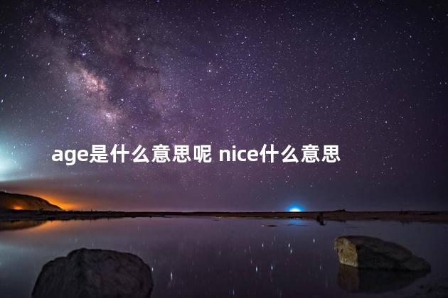 age是什么意思呢 nice什么意思